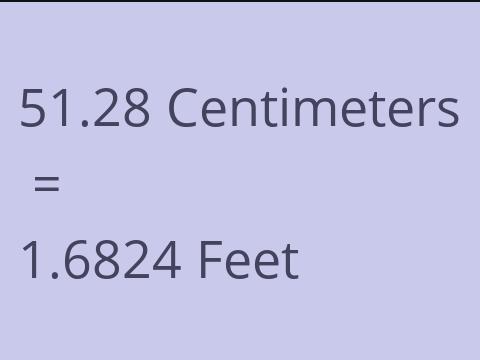 51.28 CM TO FEET