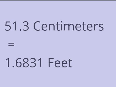 51.3 CM TO FEET