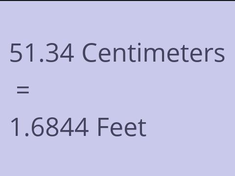 51.34 CM TO FEET