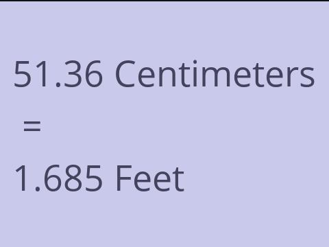 51.36 CM TO FEET