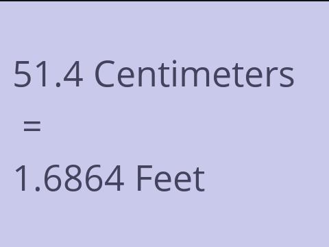 51.4 CM TO FEET