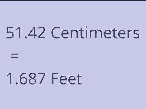 51.42 CM TO FEET