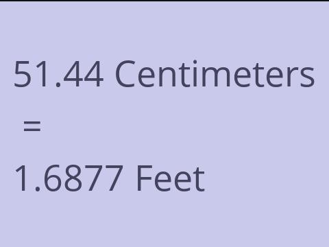 51.44 CM TO FEET