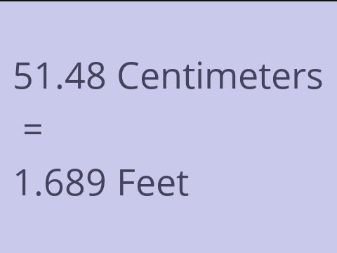 51.48 CM TO FEET