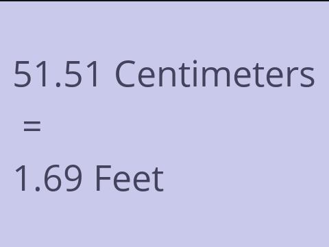 51.51 CM TO FEET