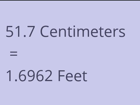 51.7 CM TO FEET