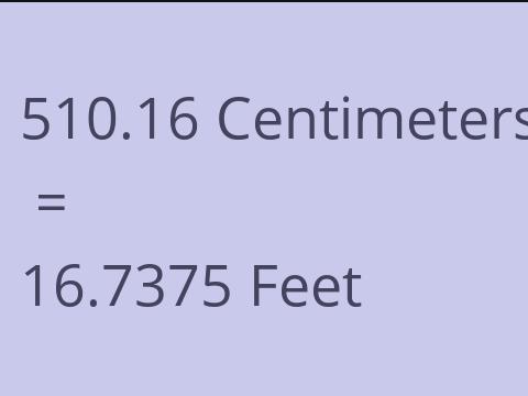 510.16 CM TO FEET