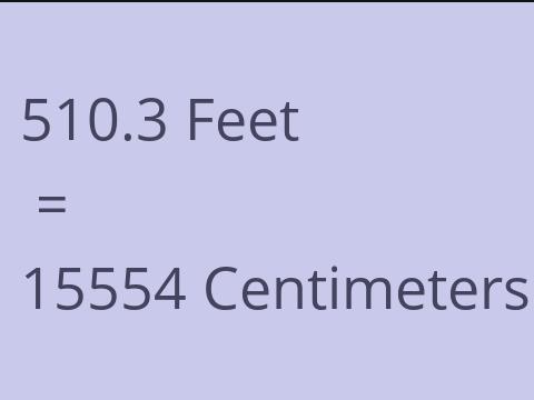 510.3 FEET TO CM