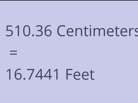 510.36 CM TO FEET