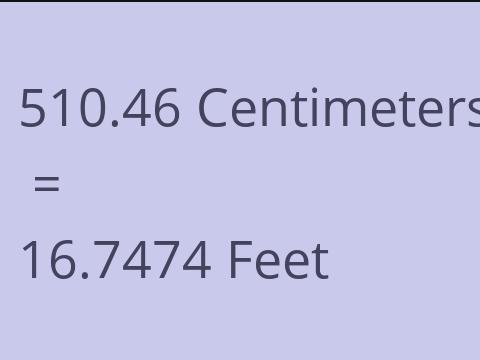 510.46 CM TO FEET