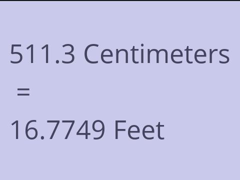 511.3 CM TO FEET