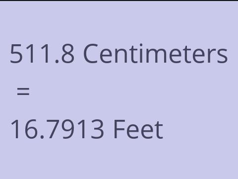 511.8 CM TO FEET