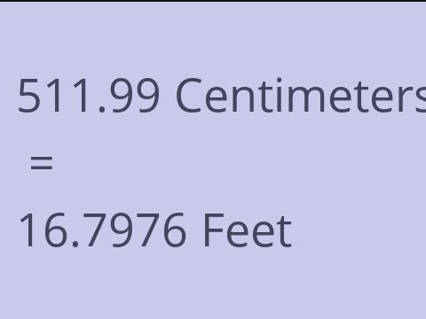 511.99 CM TO FEET