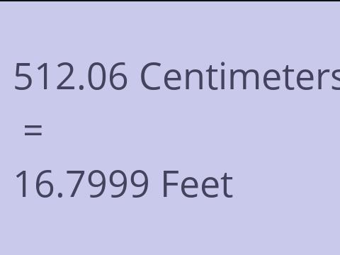 512.06 CM TO FEET