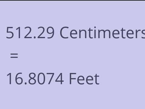 512.29 CM TO FEET