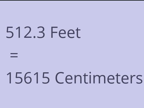 512.3 FEET TO CM