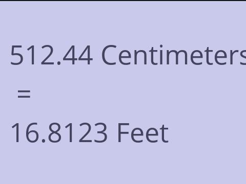 512.44 CM TO FEET