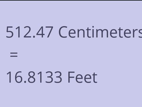 512.47 CM TO FEET