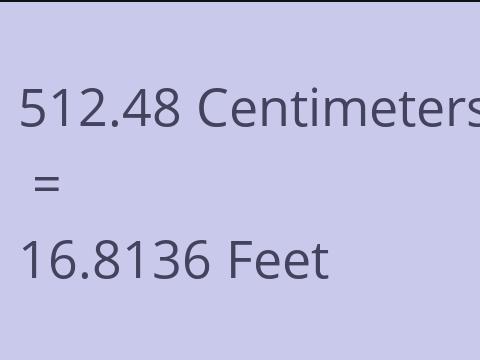 512.48 CM TO FEET