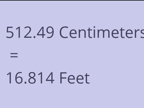 512.49 CM TO FEET