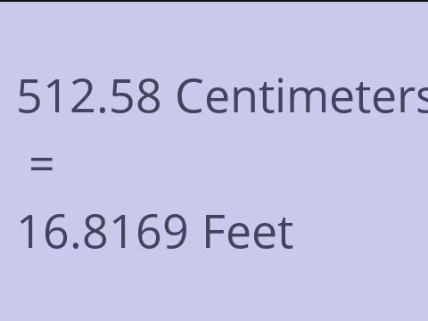 512.58 CM TO FEET