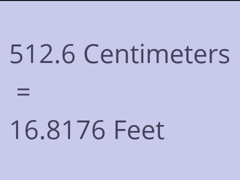 512.6 CM TO FEET