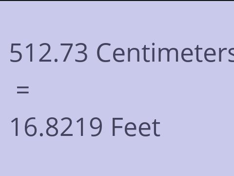 512.73 CM TO FEET