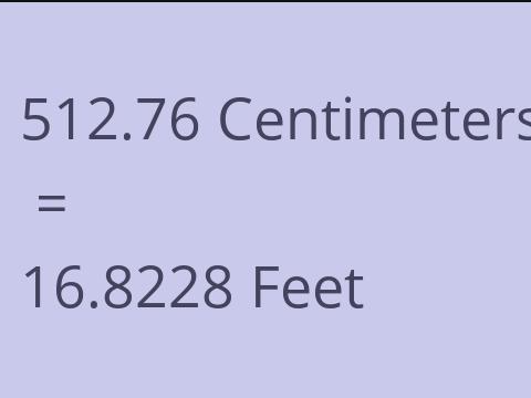 512.76 CM TO FEET