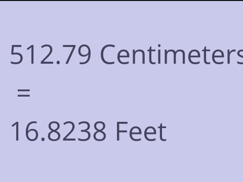 512.79 CM TO FEET