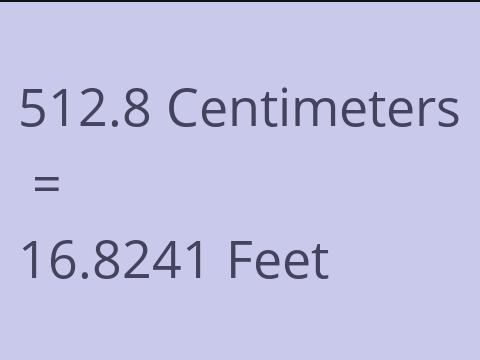 512.8 CM TO FEET