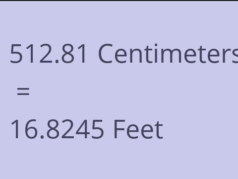 512.81 CM TO FEET