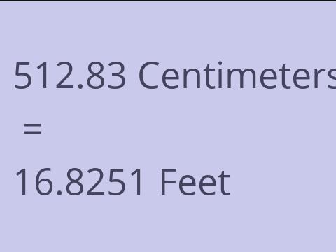 512.83 CM TO FEET