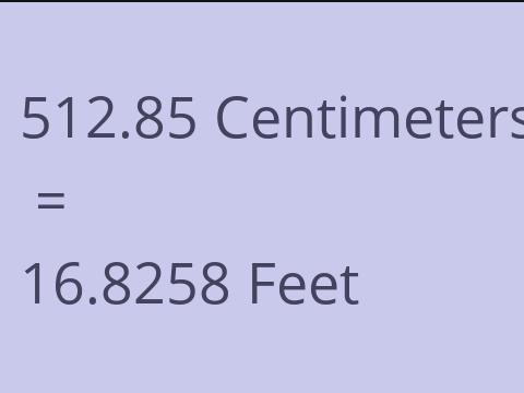 512.85 CM TO FEET