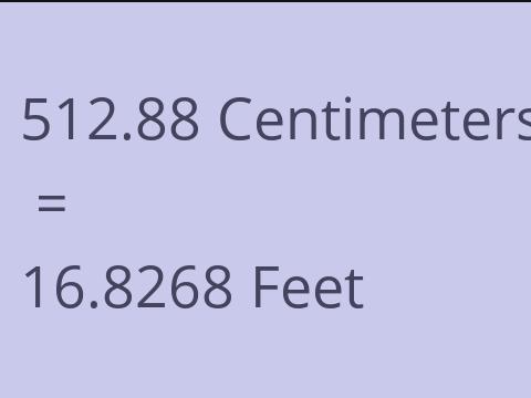 512.88 CM TO FEET