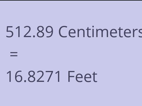 512.89 CM TO FEET