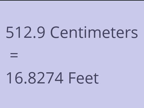 512.9 CM TO FEET