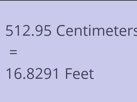 512.95 CM TO FEET