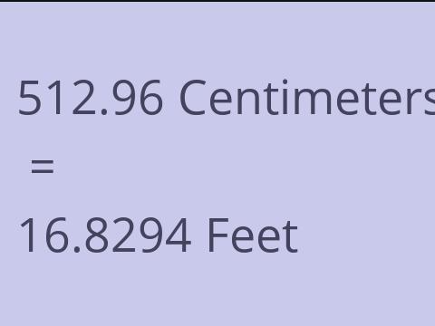 512.96 CM TO FEET