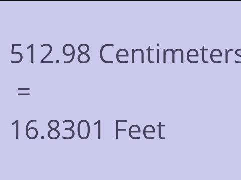 512.98 CM TO FEET