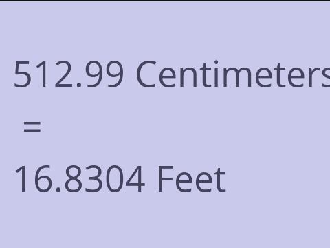 512.99 CM TO FEET