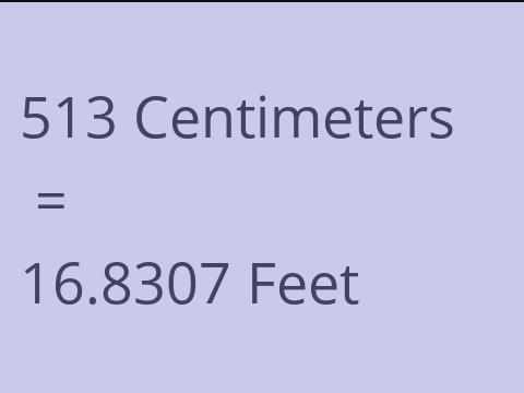 513 CM TO FEET