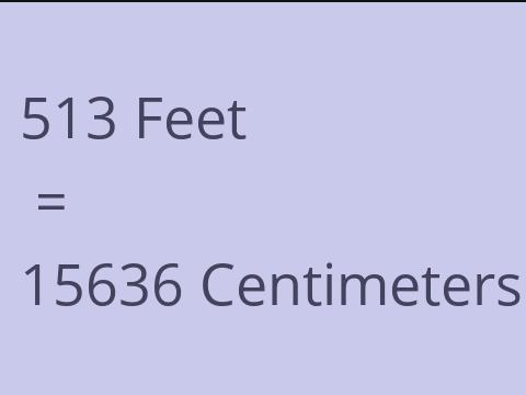 513 FEET TO CM