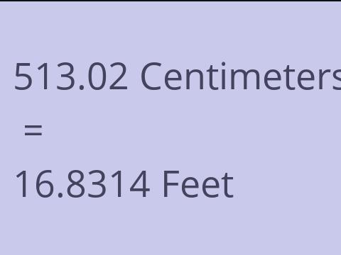 513.02 CM TO FEET