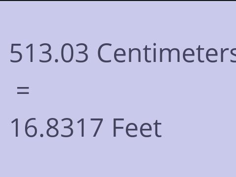 513.03 CM TO FEET