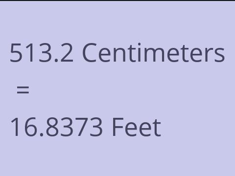 513.2 CM TO FEET