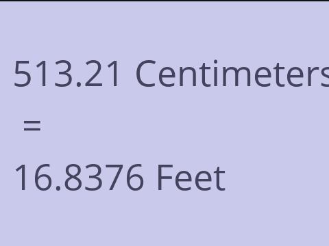 513.21 CM TO FEET