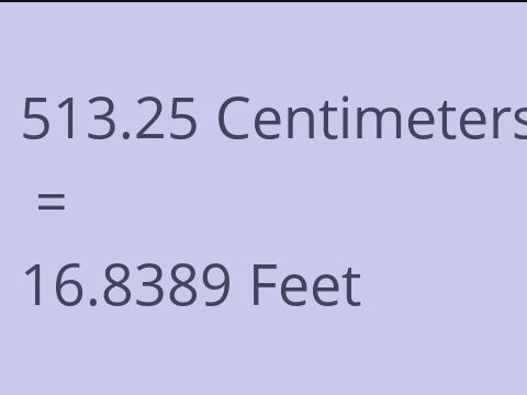 513.25 CM TO FEET