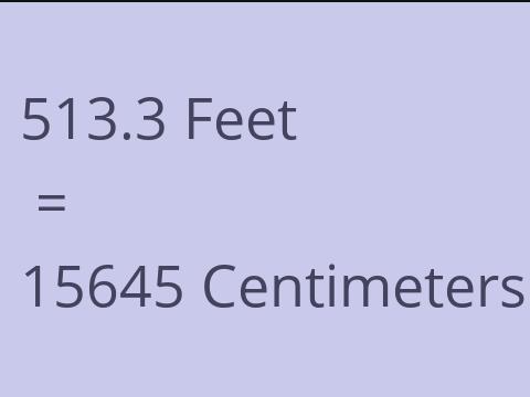 513.3 FEET TO CM