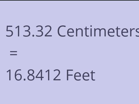 513.32 CM TO FEET