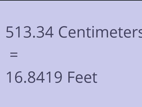 513.34 CM TO FEET